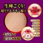 名器の証明14 小宵虎南