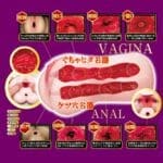 名器の証明14 小宵虎南