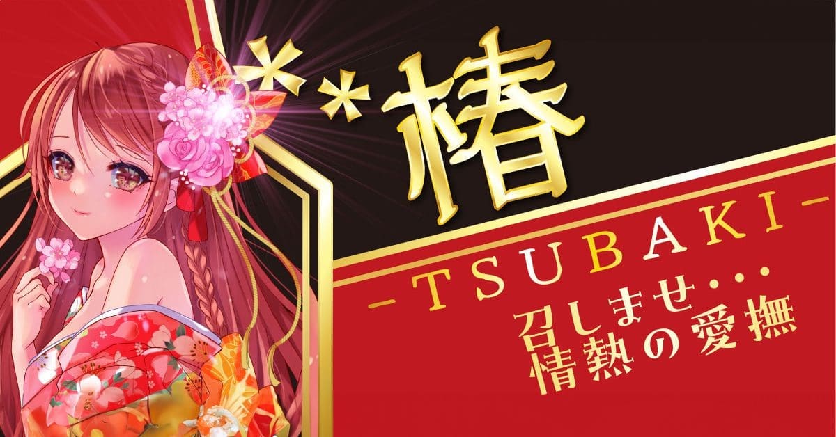 【飛機杯開箱實測】椿 -TSUBAKI-