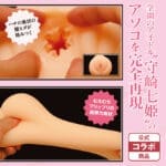 日本妄想女忍〇〇譚 THE HOLE 守崎七姫