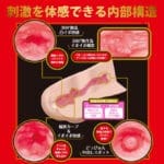 JAPANESE REAL HOLE 激 翼舞