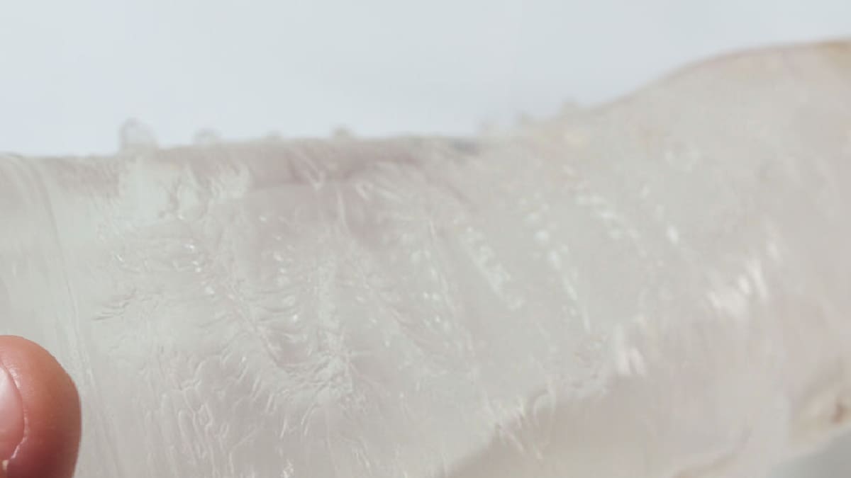 【飛機杯開箱實測】蘿莉穴位刺激RUSH 硬版