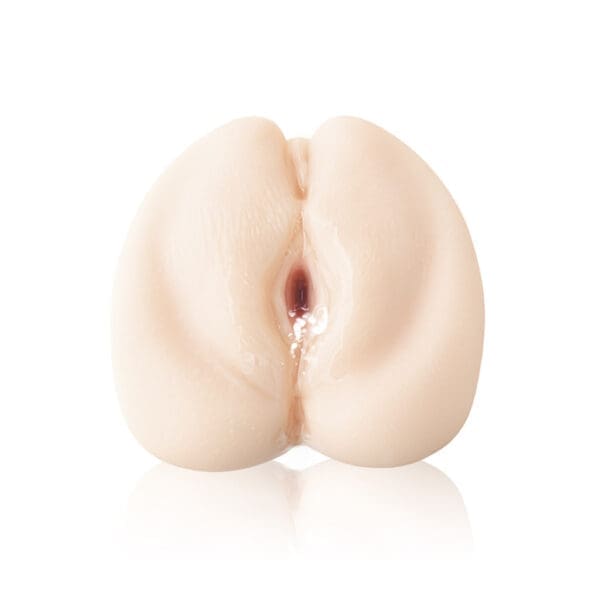 日本の名器 田中寧寧