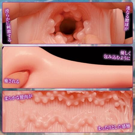 国〇の雌〇 THE HOLE シスターエイリス