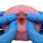 大魔王 Virgo Veritas - Image 8