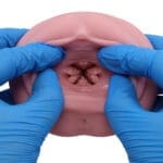 大魔王 Virgo Veritas - Image 9