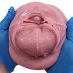 大魔王 Virgo Veritas - Image 12