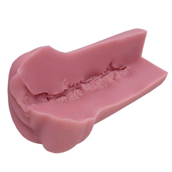 大魔王 Virgo Veritas - Image 18