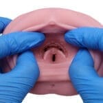 大魔王 Virgo Liber - Image 9