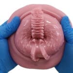 大魔王 Virgo Liber - Image 11