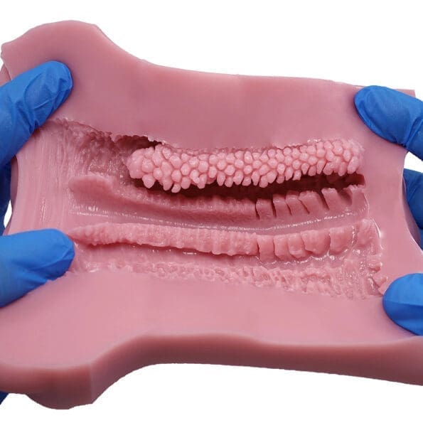 大魔王 Virgo Liber - Image 22