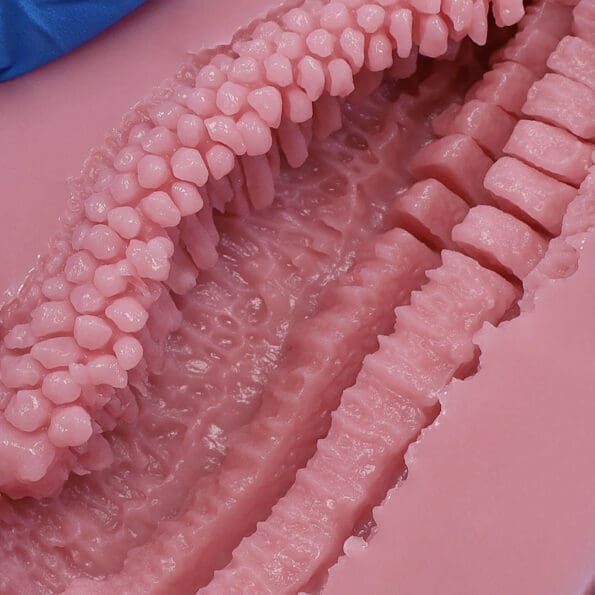 大魔王 Virgo Liber - Image 23