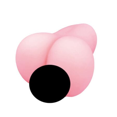 女子圖鑑 未開發A解禁