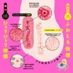 新任性雙穴 SPDX