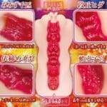 思春期少女 硬版 - Image 3