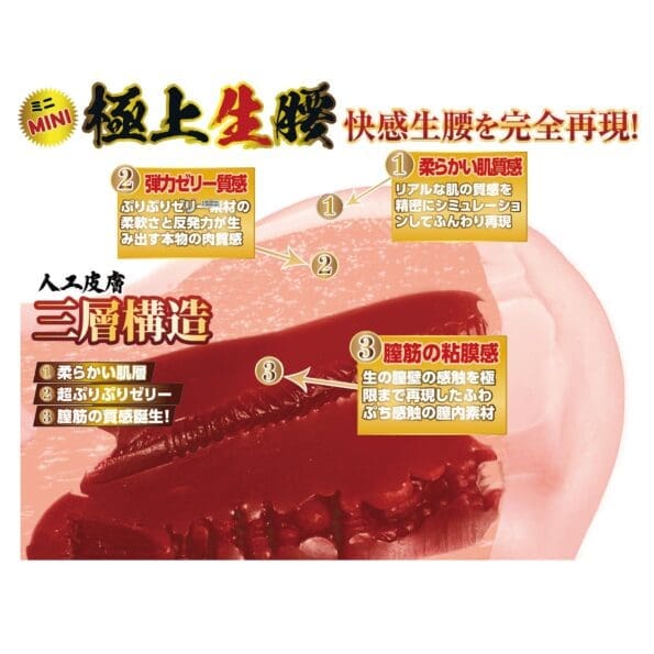 極上生腰mini 森日向子